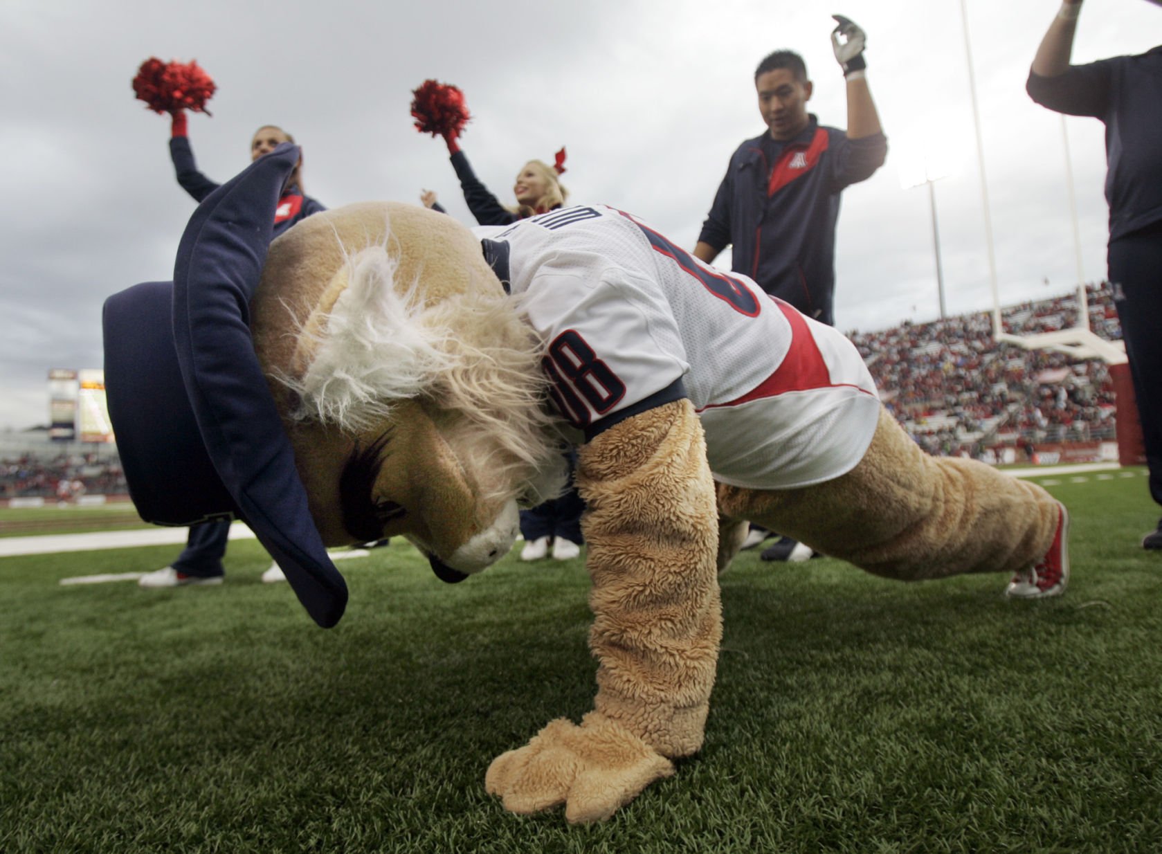Wilbur and Wilma Wildcat through the years